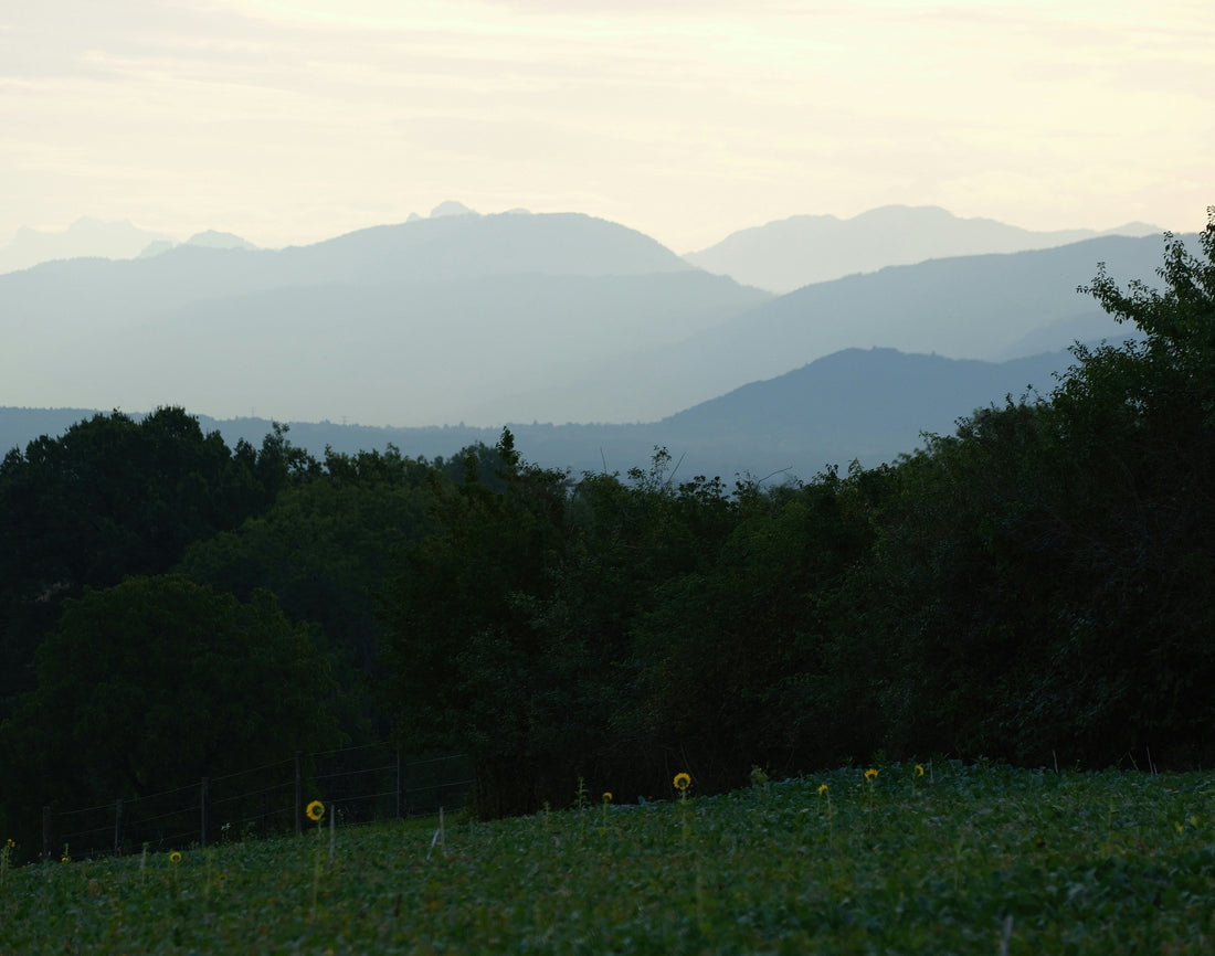 Search Me, and Know - Part I