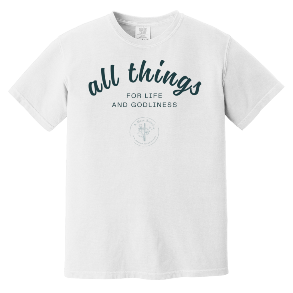 All Things Adult Tee
