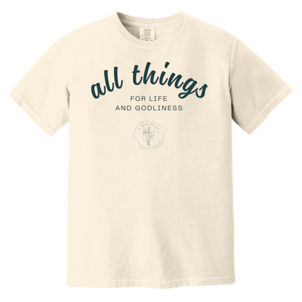All Things Adult Tee